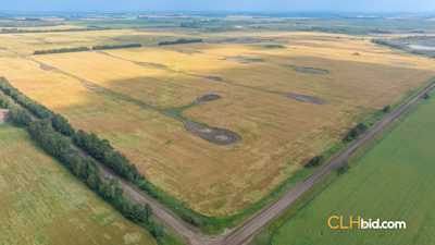 County Line Investor