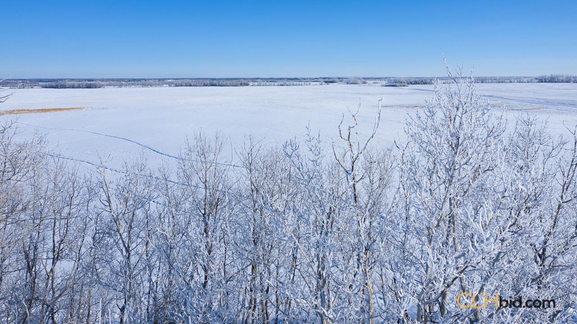 scotsmansdelight-1-5