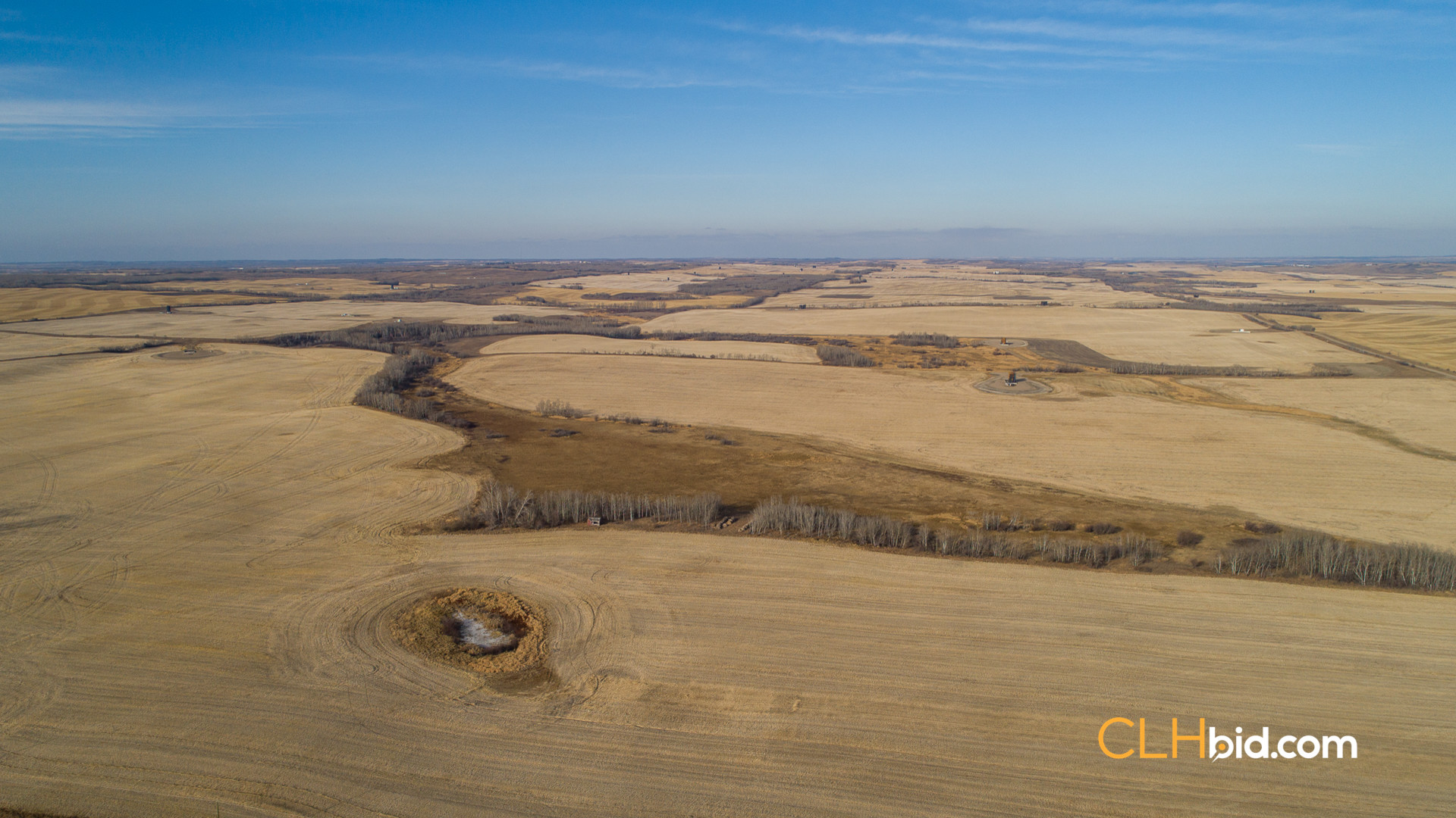 Web-Nine-Of-Diamonds-10