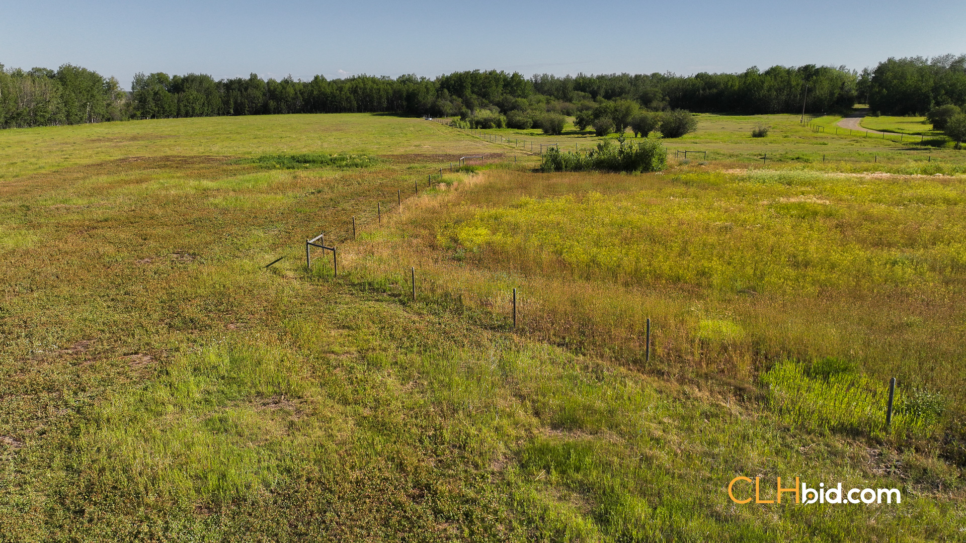 Web Rustlers Roost-12