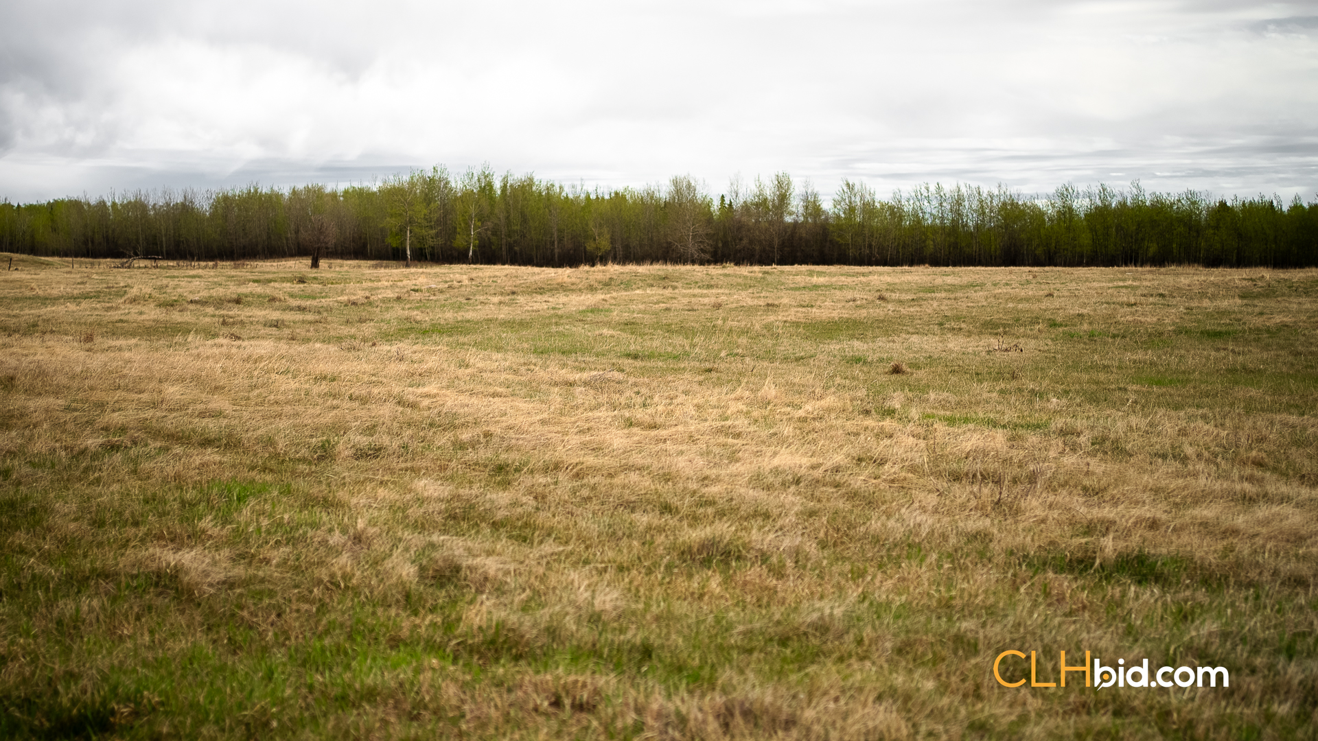 Web Deer Hill Homer Spring-27