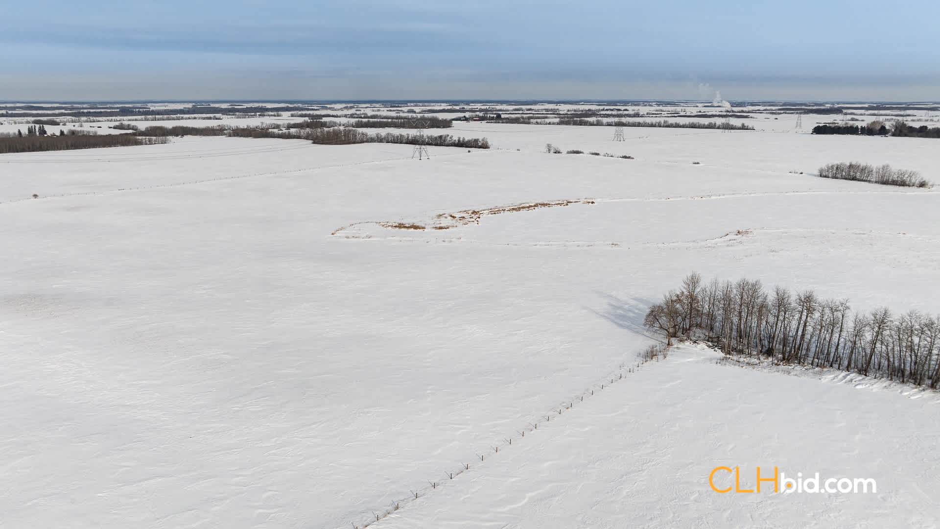 Web-LamontTopGrade-36