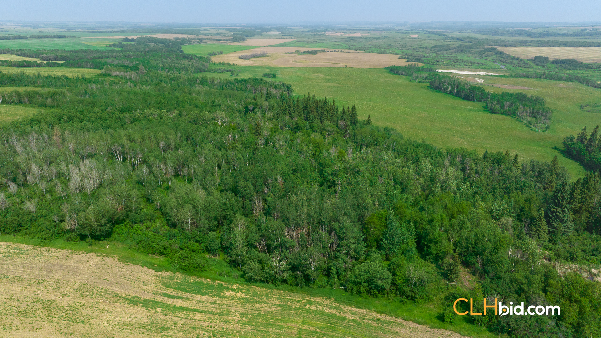 Web-Innisfree8Summer-32