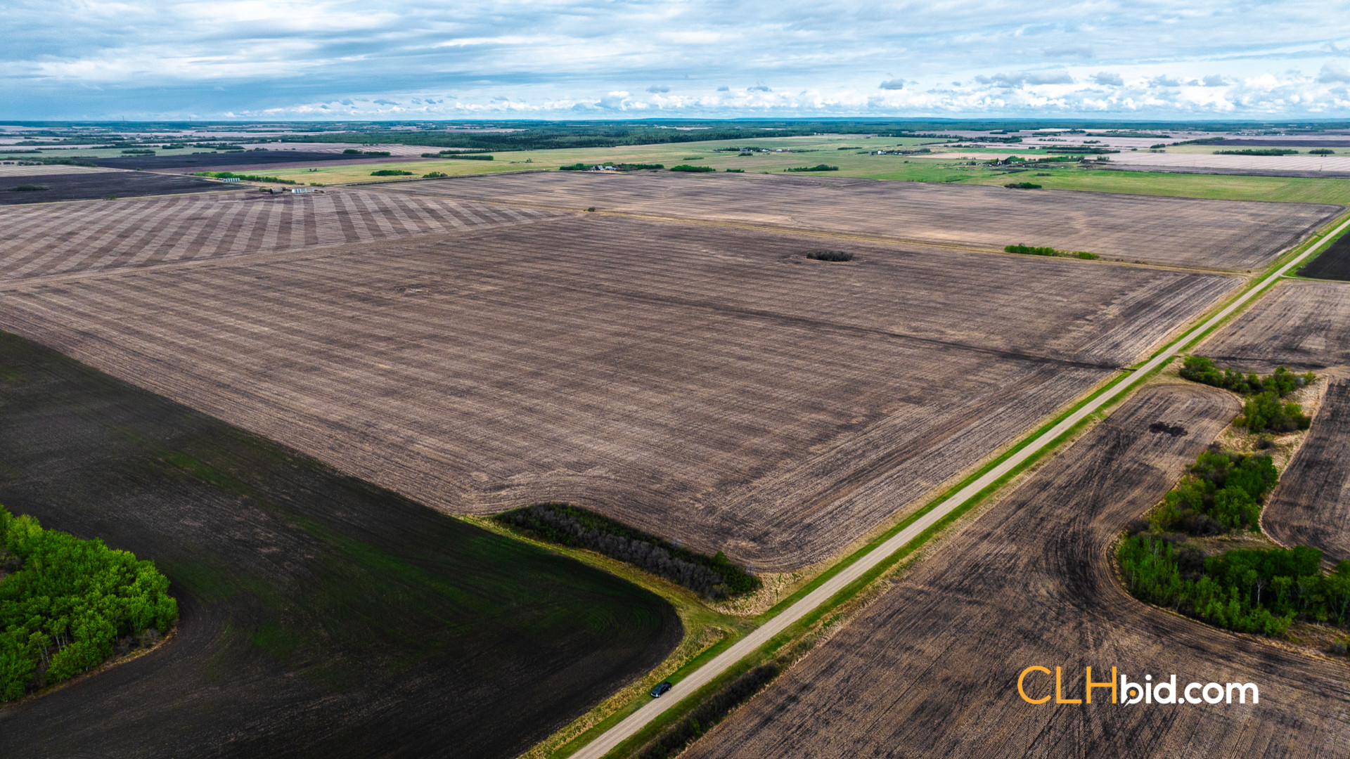 Web Brownvale Spring-1