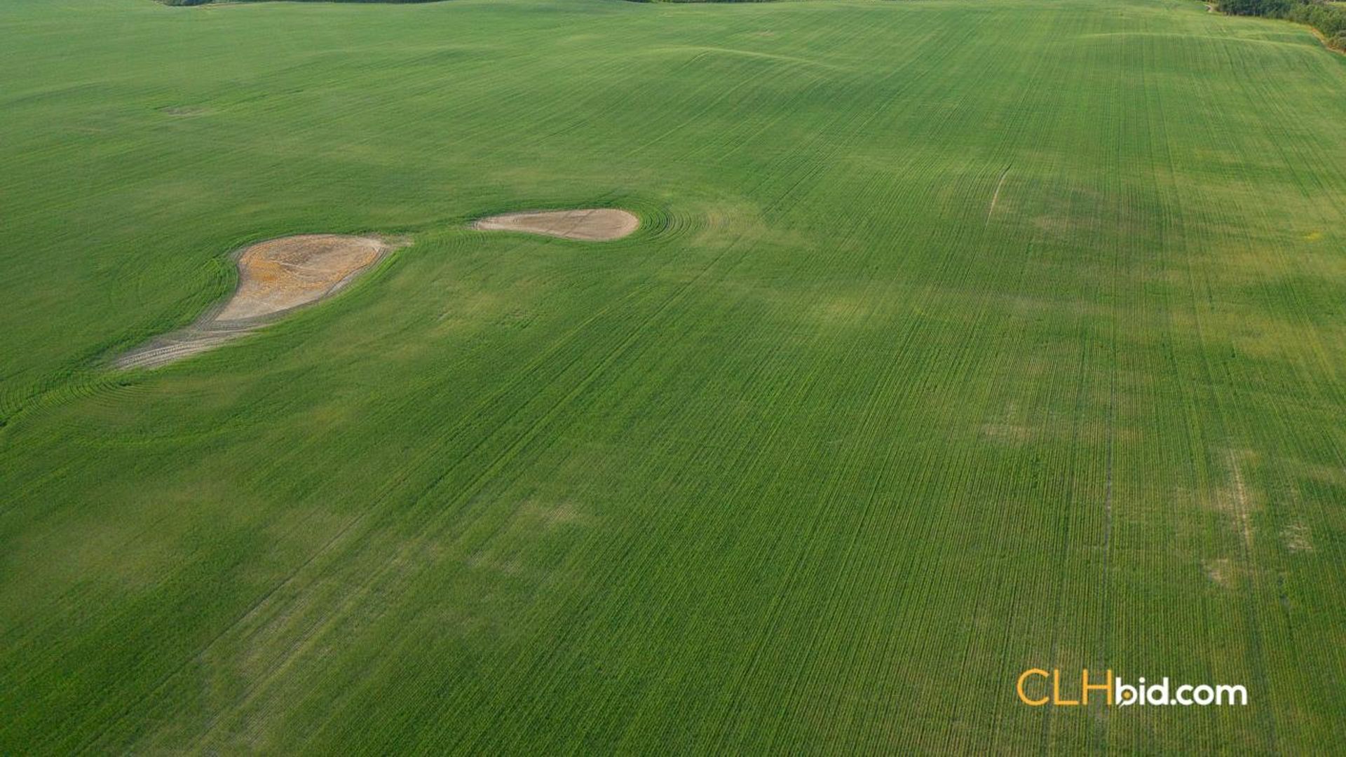 directlinelassiterroad-1-4