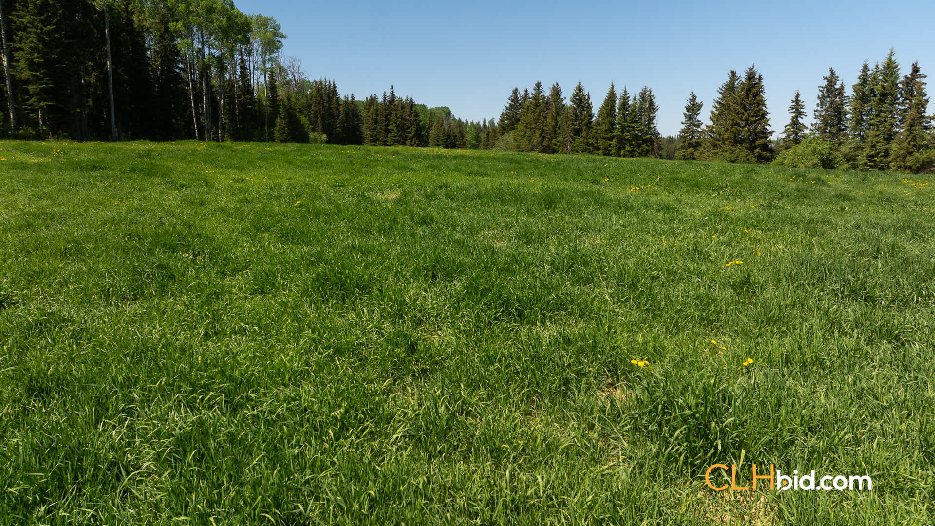 Web-CrystalWatersRanch-21
