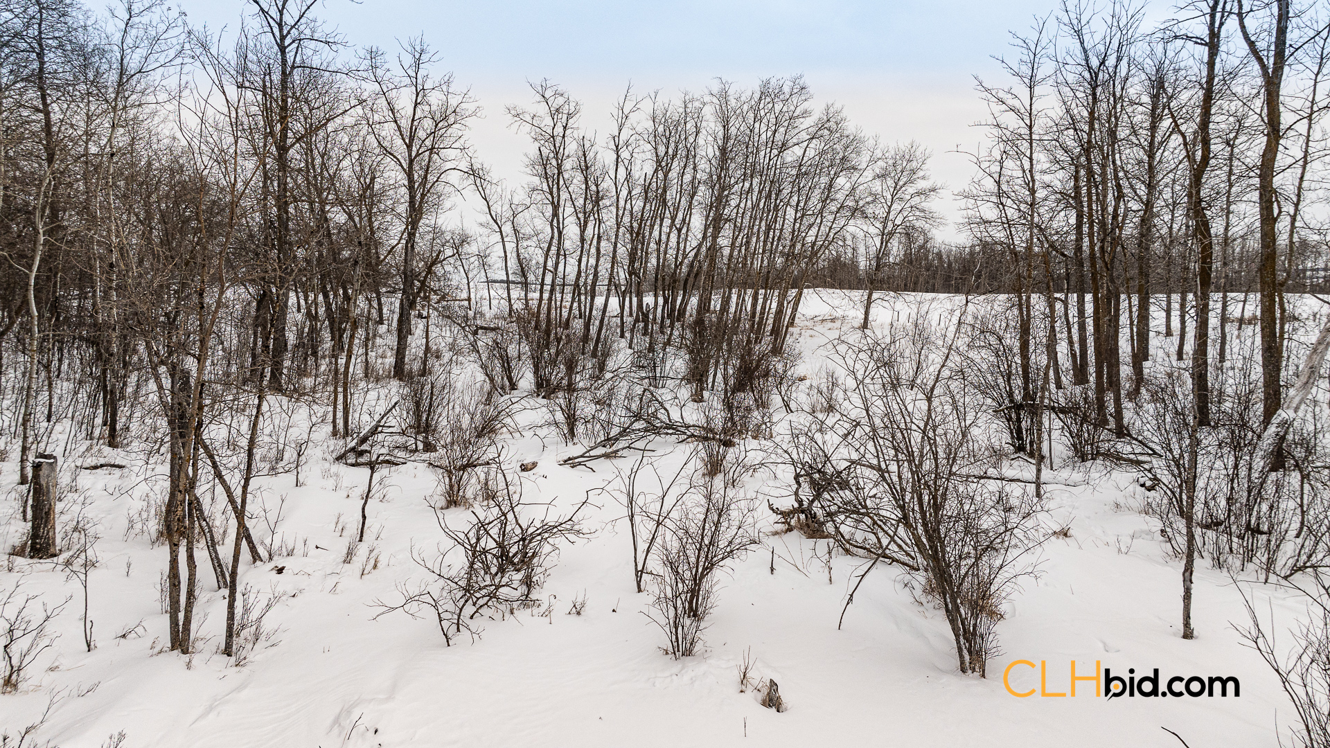 Web-GameOnInnisfree-19