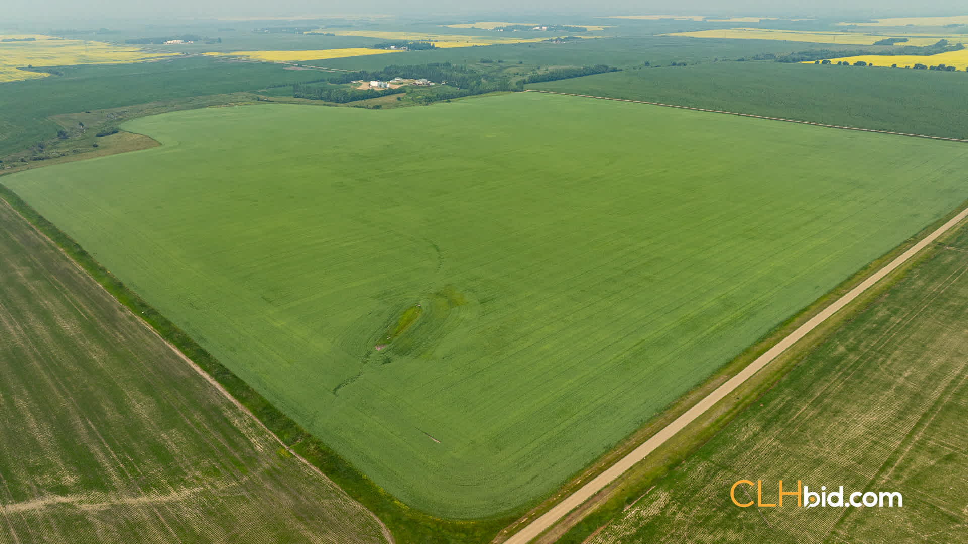 View from above of Forrest Select