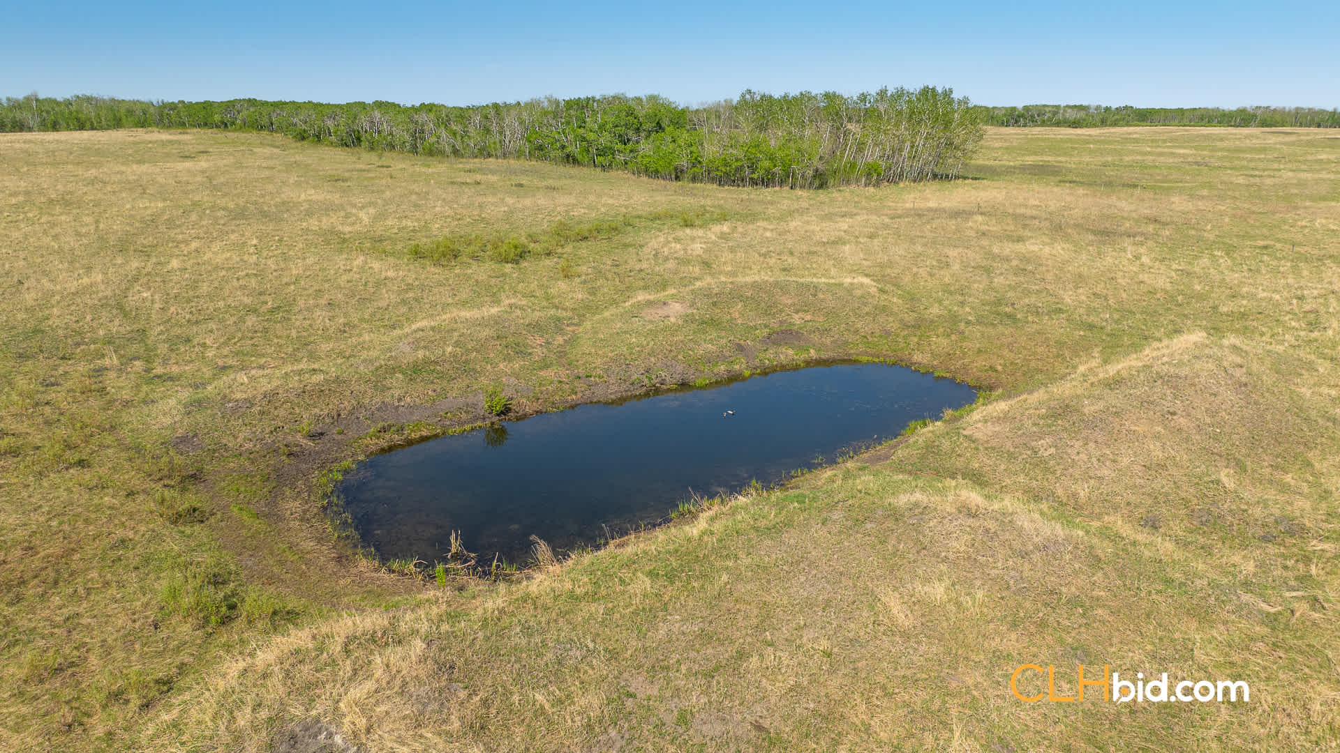 Web-AssiniboineRancher-18