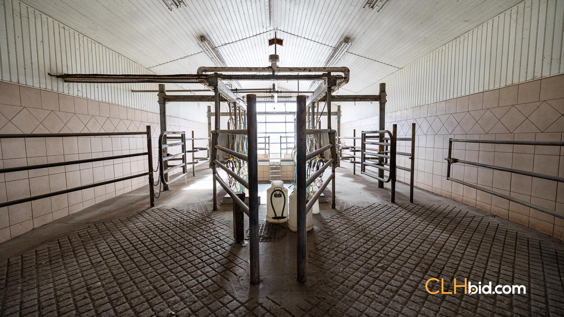 Web-Greendale-Prime-29