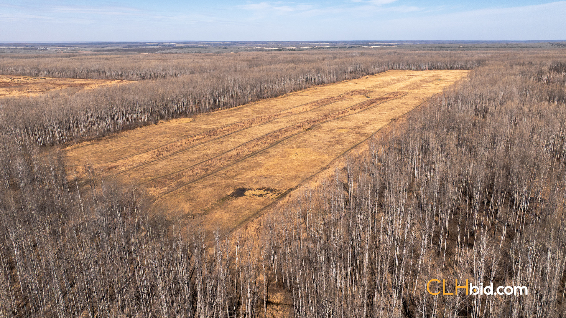 Web Sunrise Igniter Spring-8