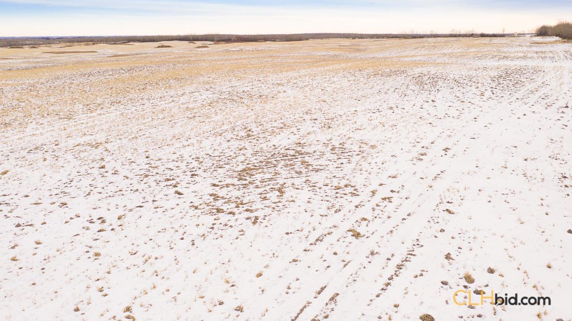 barrheadbigoptions-1-10