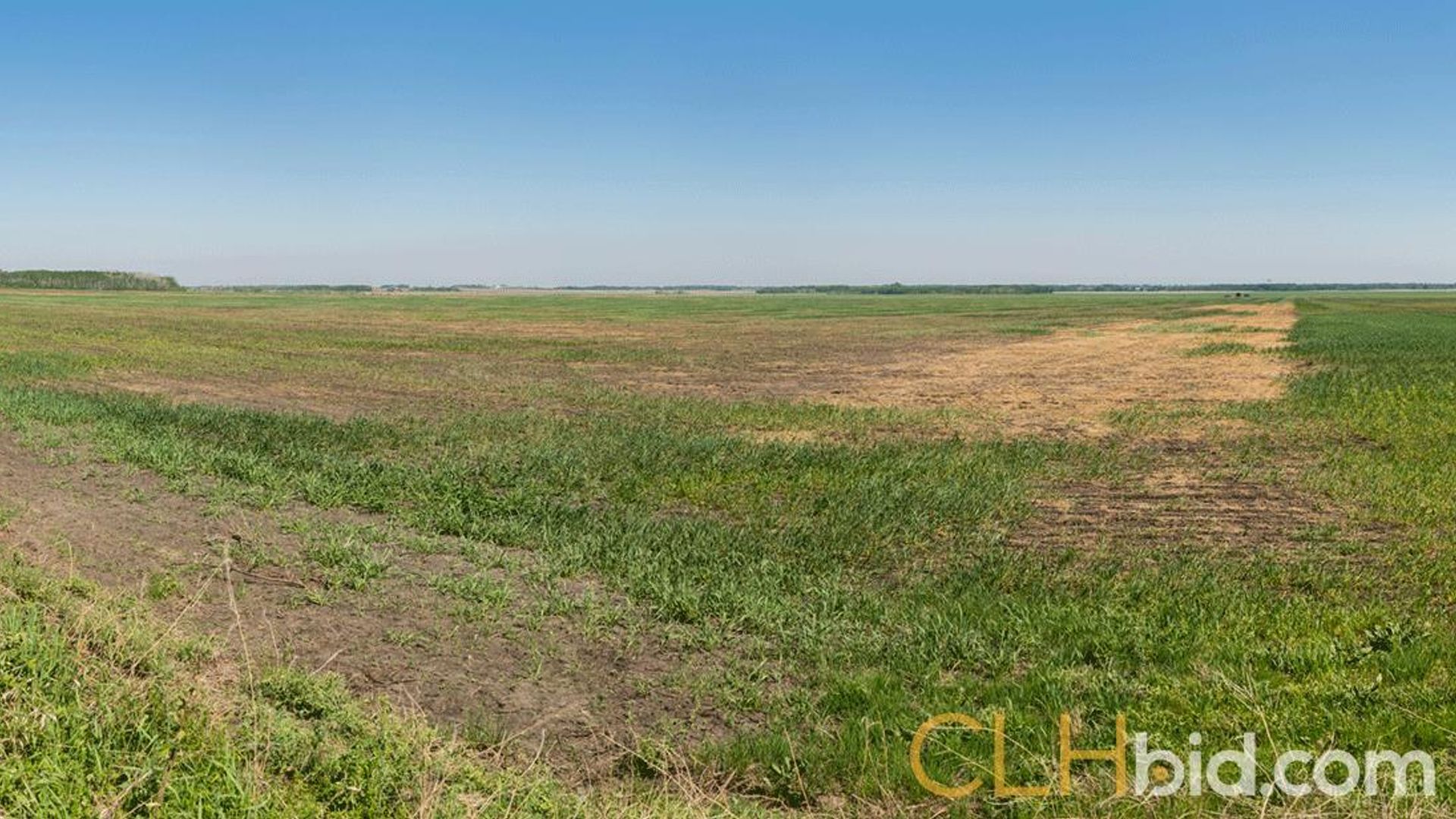 kleskunhillsranchmartineaufarms-19-2