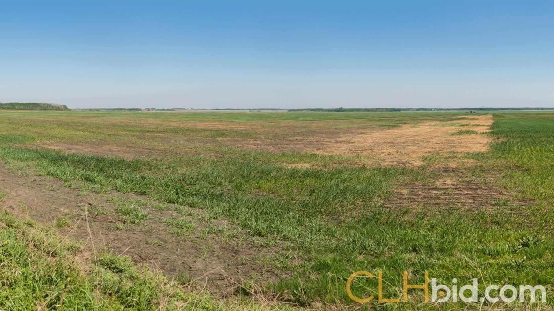 kleskunhillsranchmartineaufarms-19-2