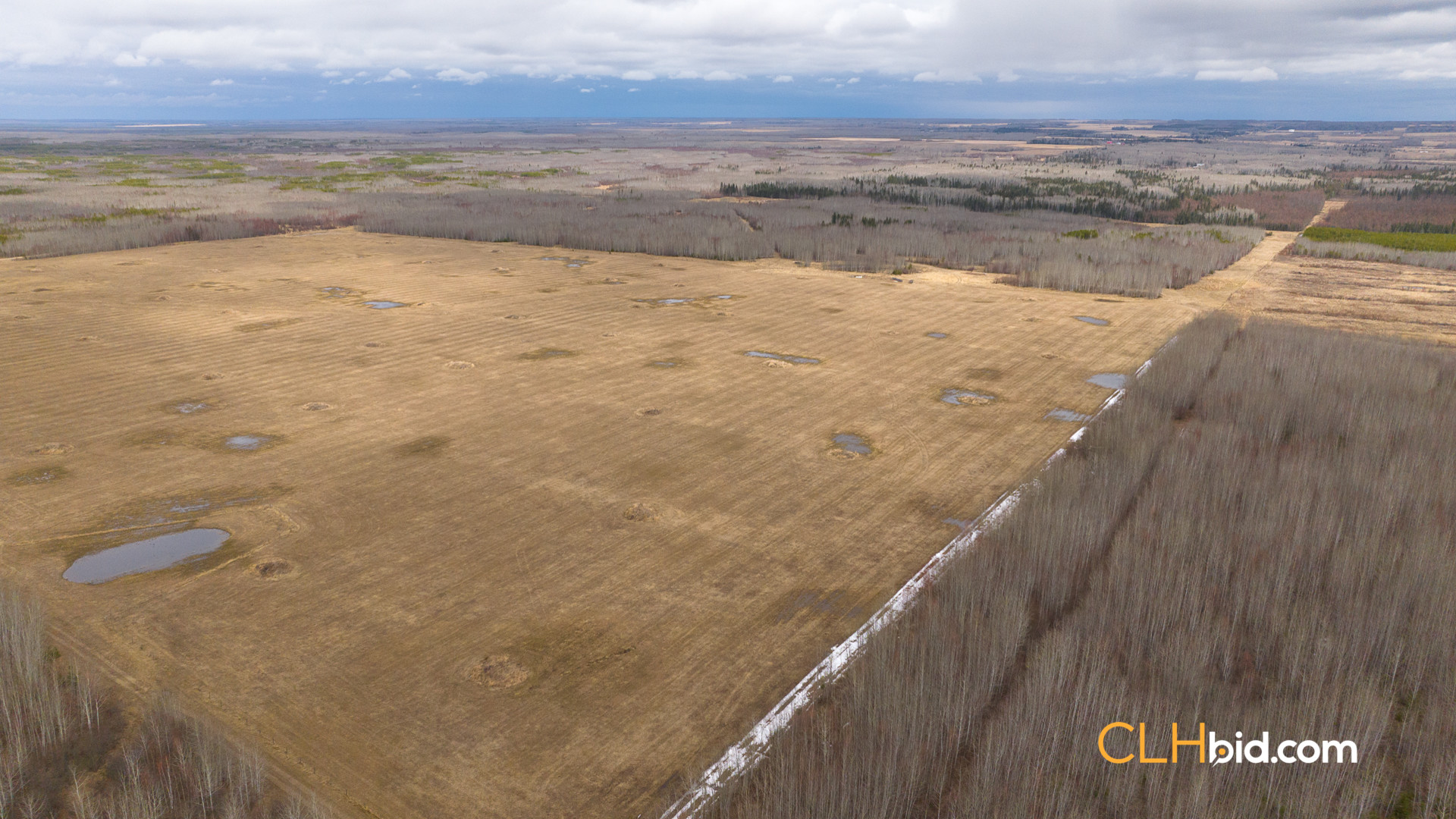 Web-RanchersChoice-12