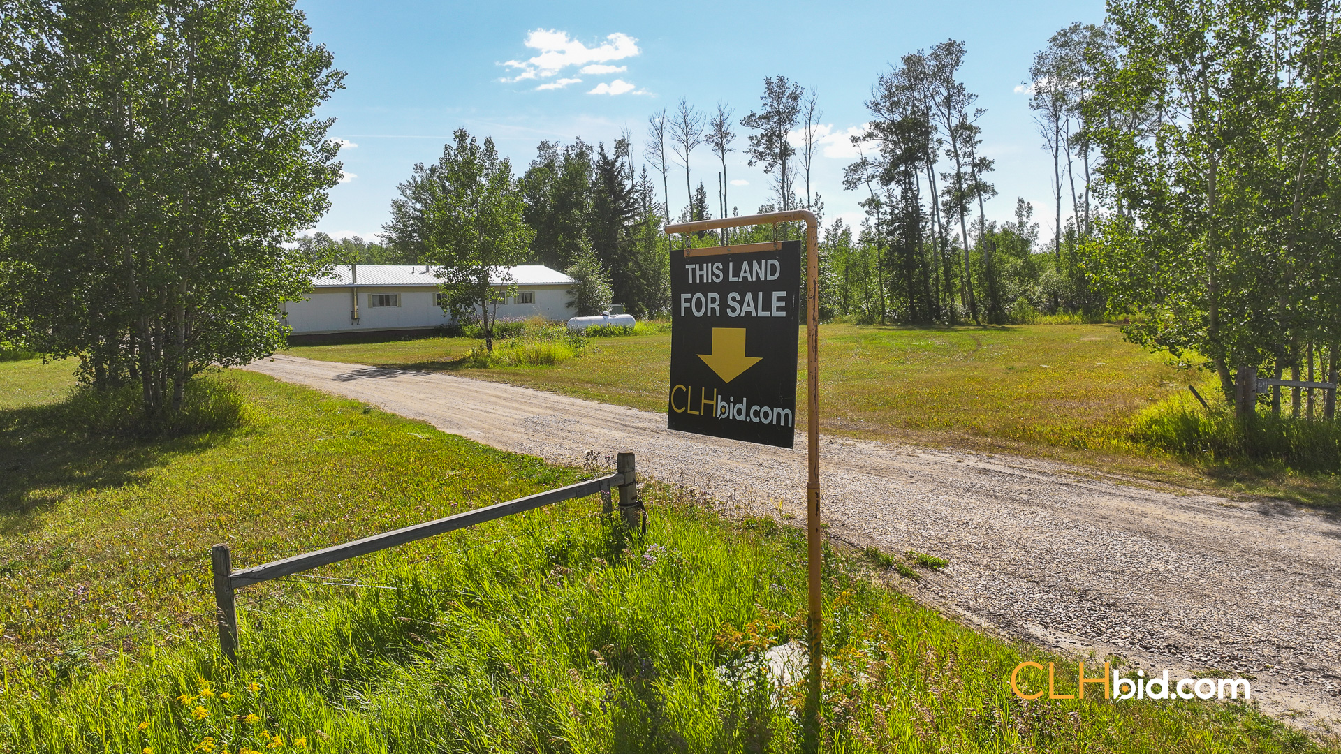 Web Talking Trees 17