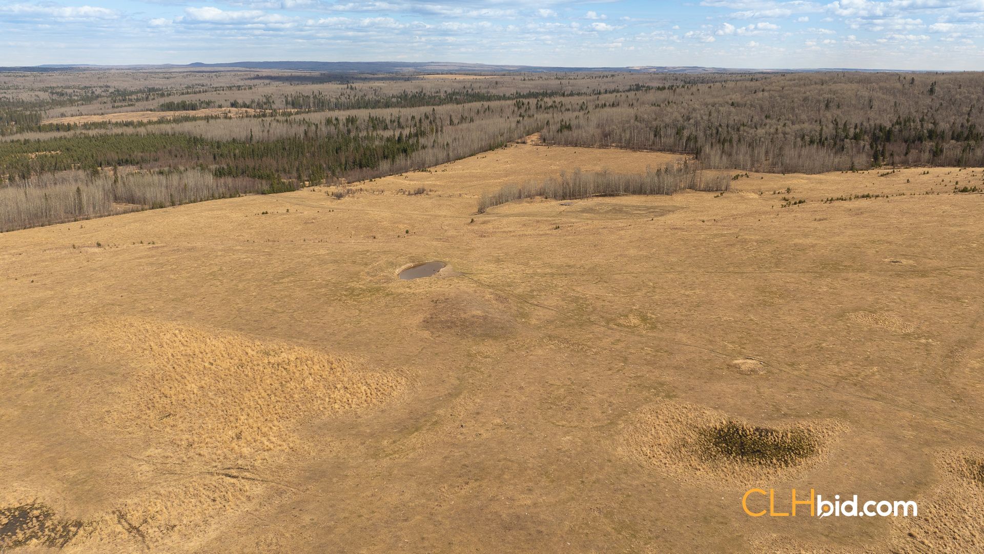 Web-GrazingGroundsNEW-2