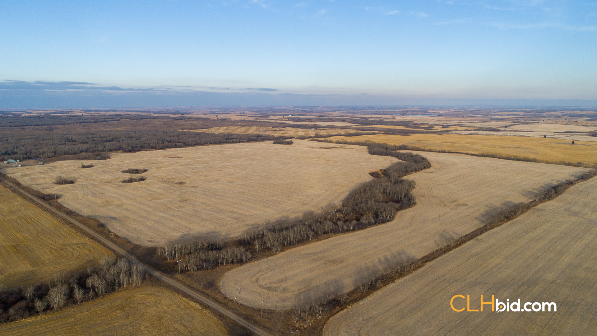 Web-Nine-Of-Diamonds-35