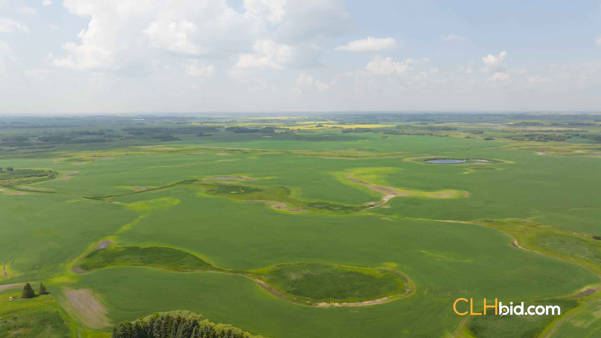 Web-ShoalLake-9
