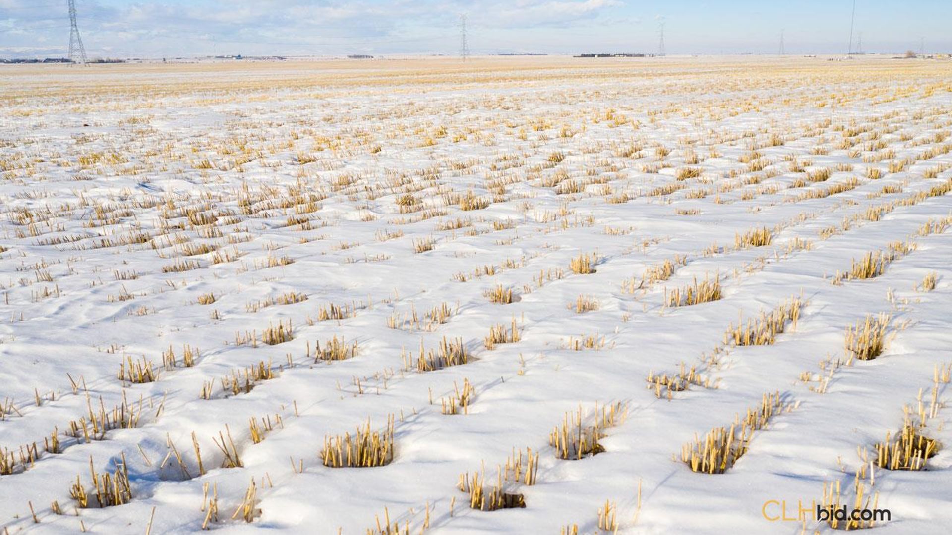 curbsideontheeconomiccorridor-5-5