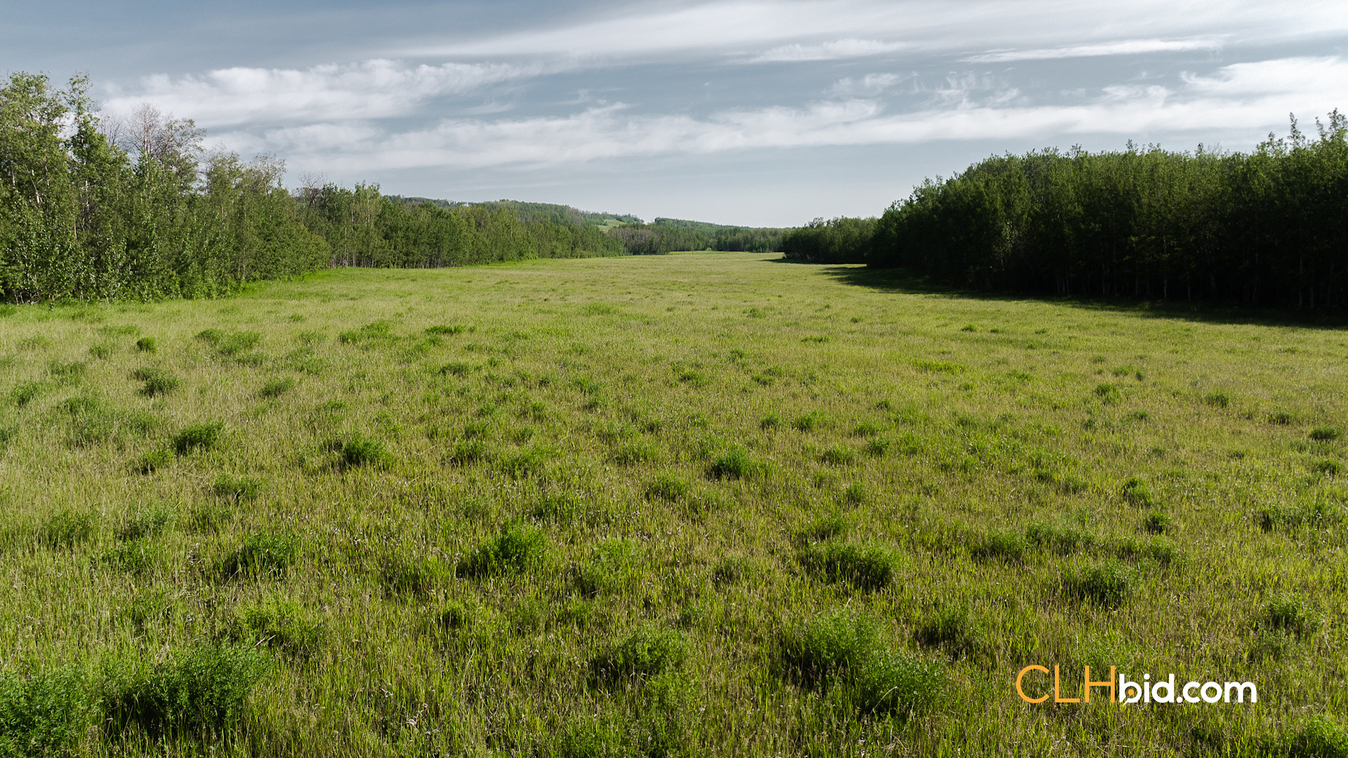 Web The Wild at Braden Rd-11