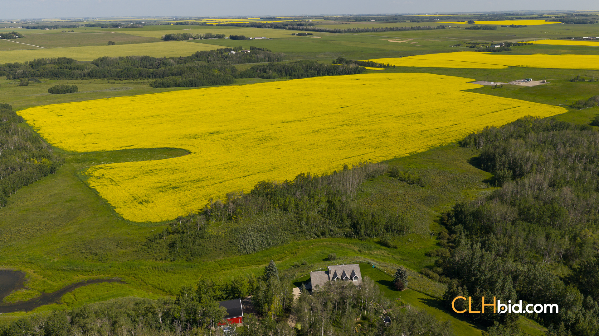 Web-FoothillsHeadliner-12