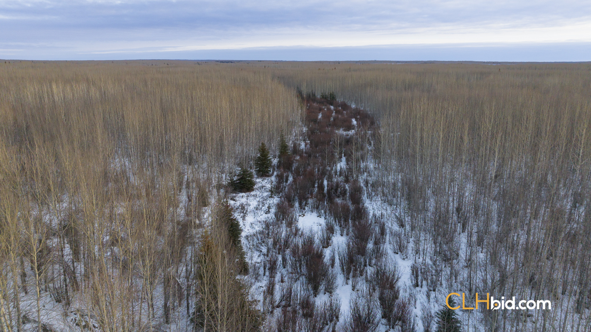 TillerMakeover-WebWide-1