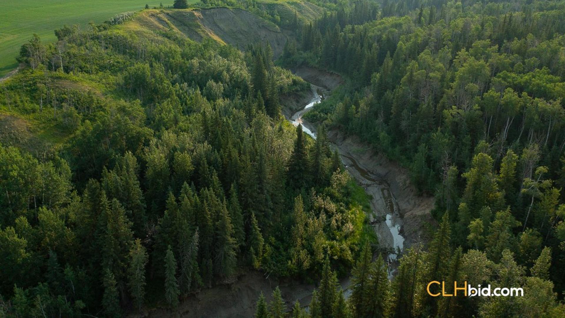 directlinelassiterroad-1-7