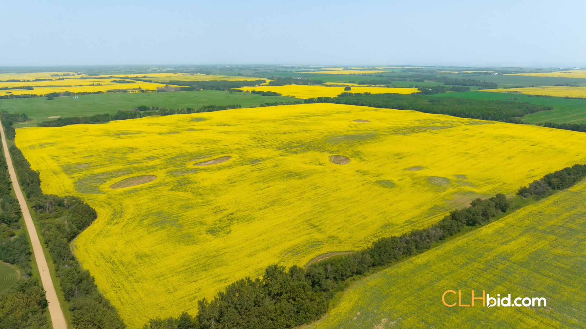 Web-InnisfreeWideOpen-4