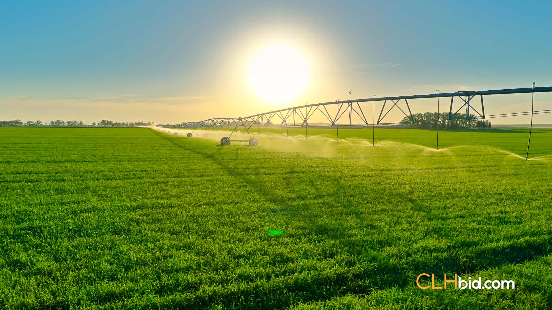 Web-WaterRights-1