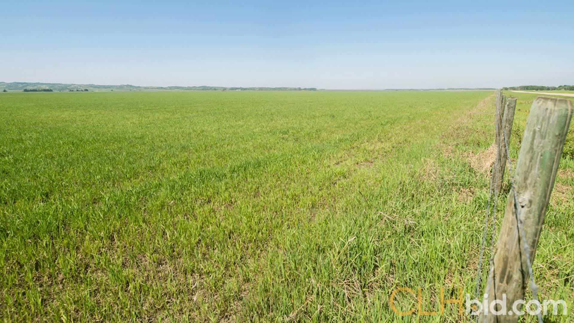 kleskunhillsranchmartineaufarms-7-2