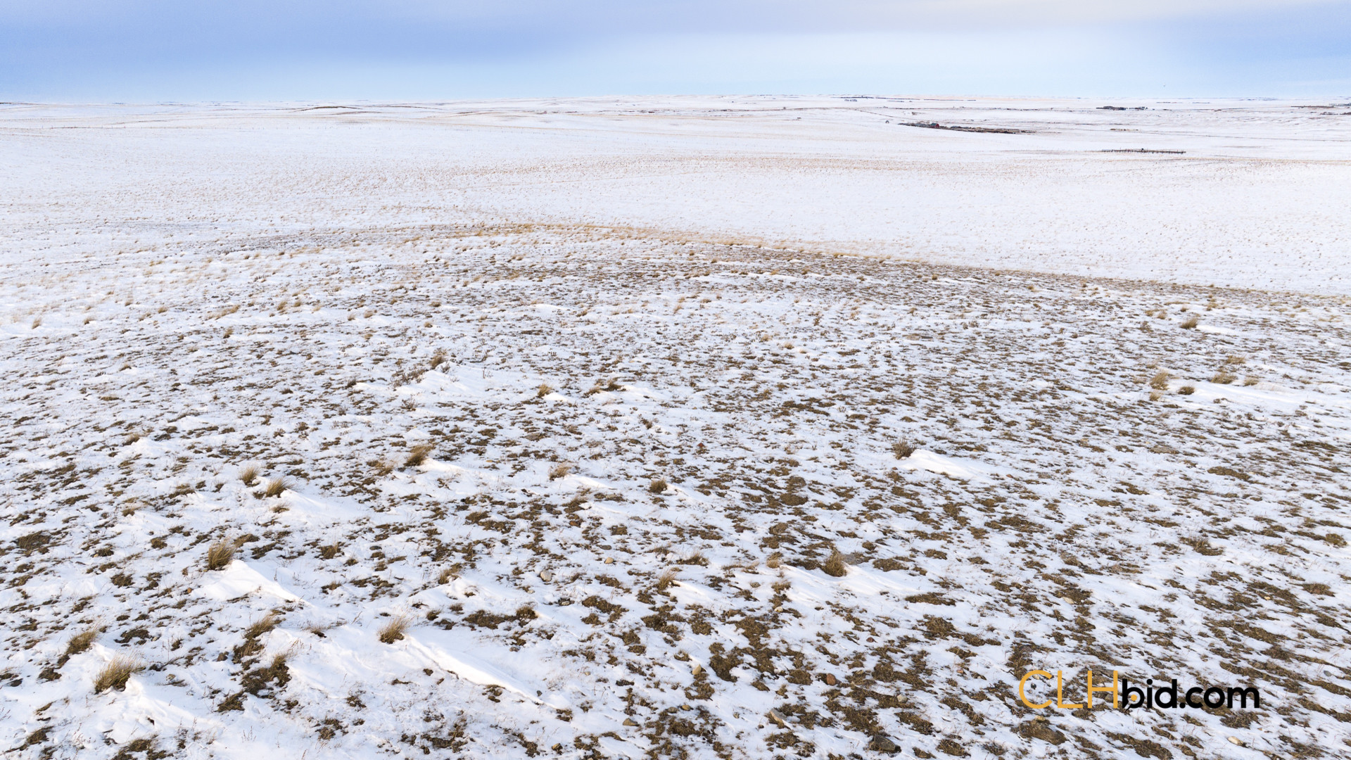 P3 Web169-AcresOfPedigree-14