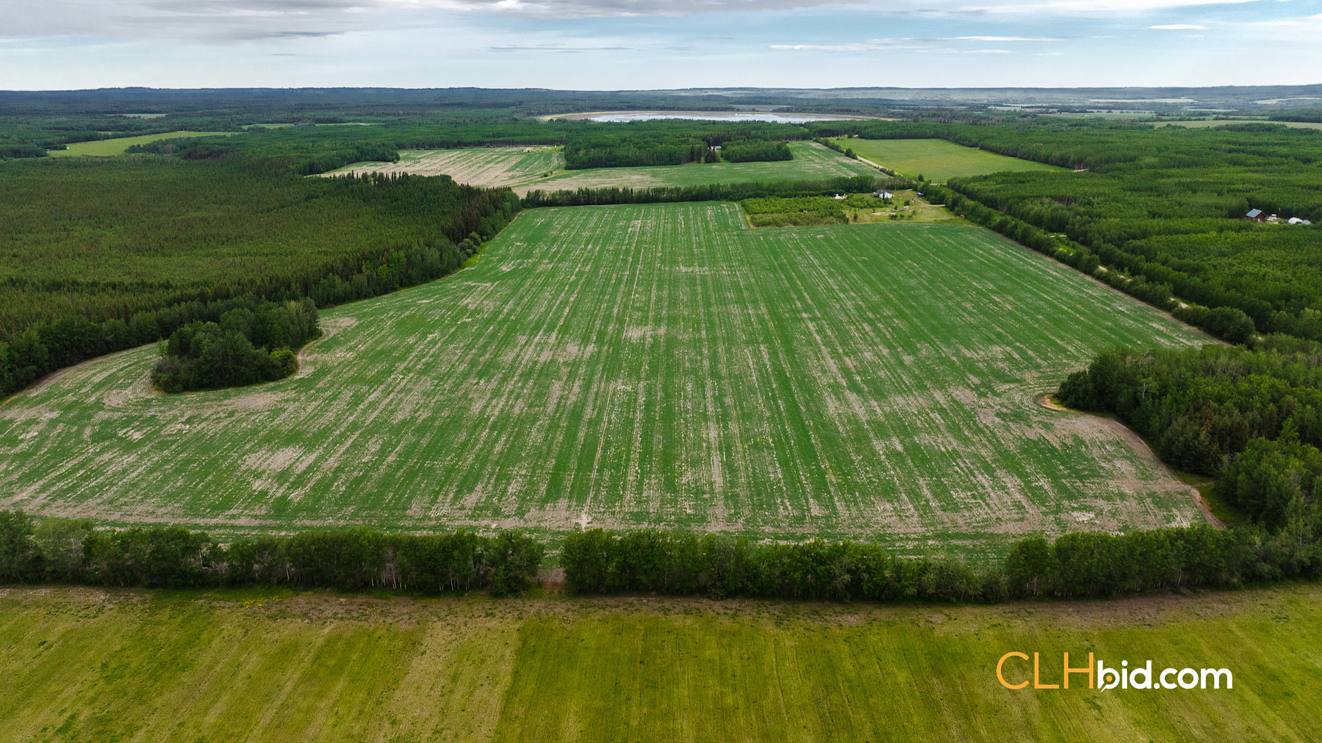 Web Triple Off Hwy 59-6