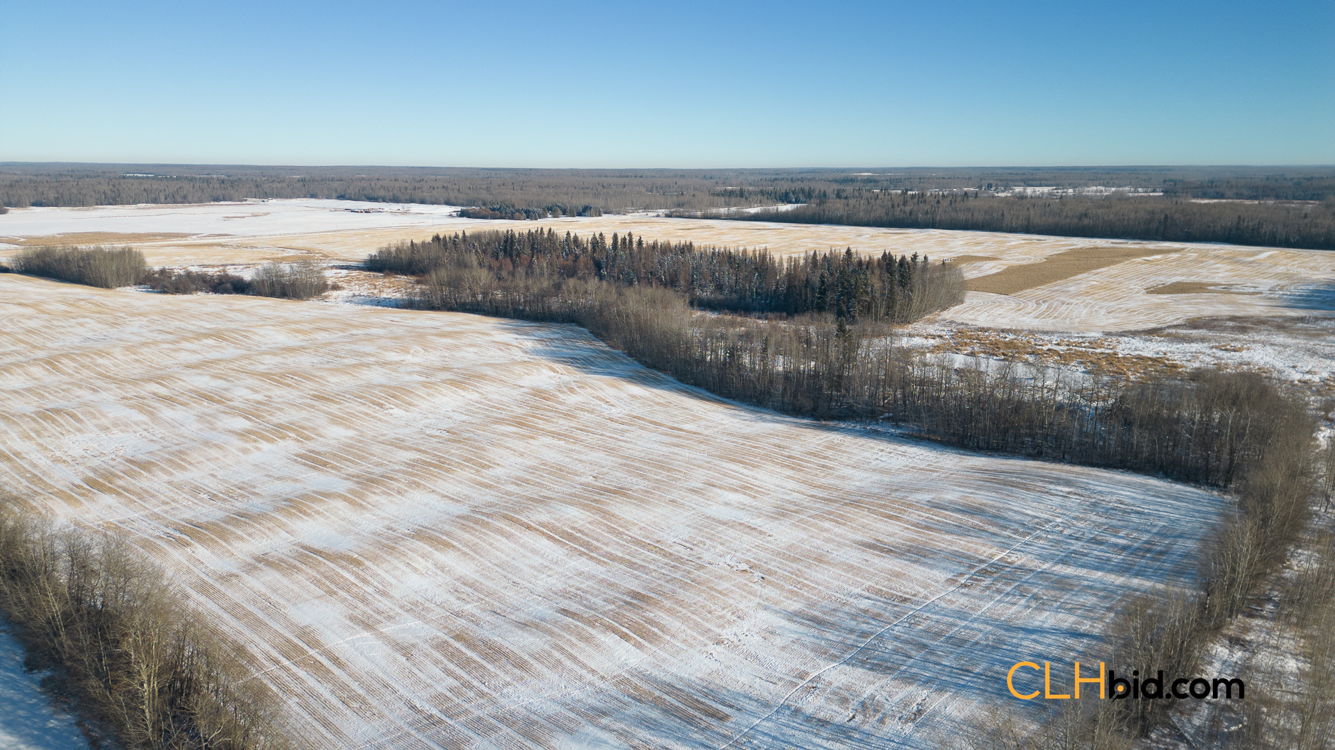 Web-ThorhildExpress-3