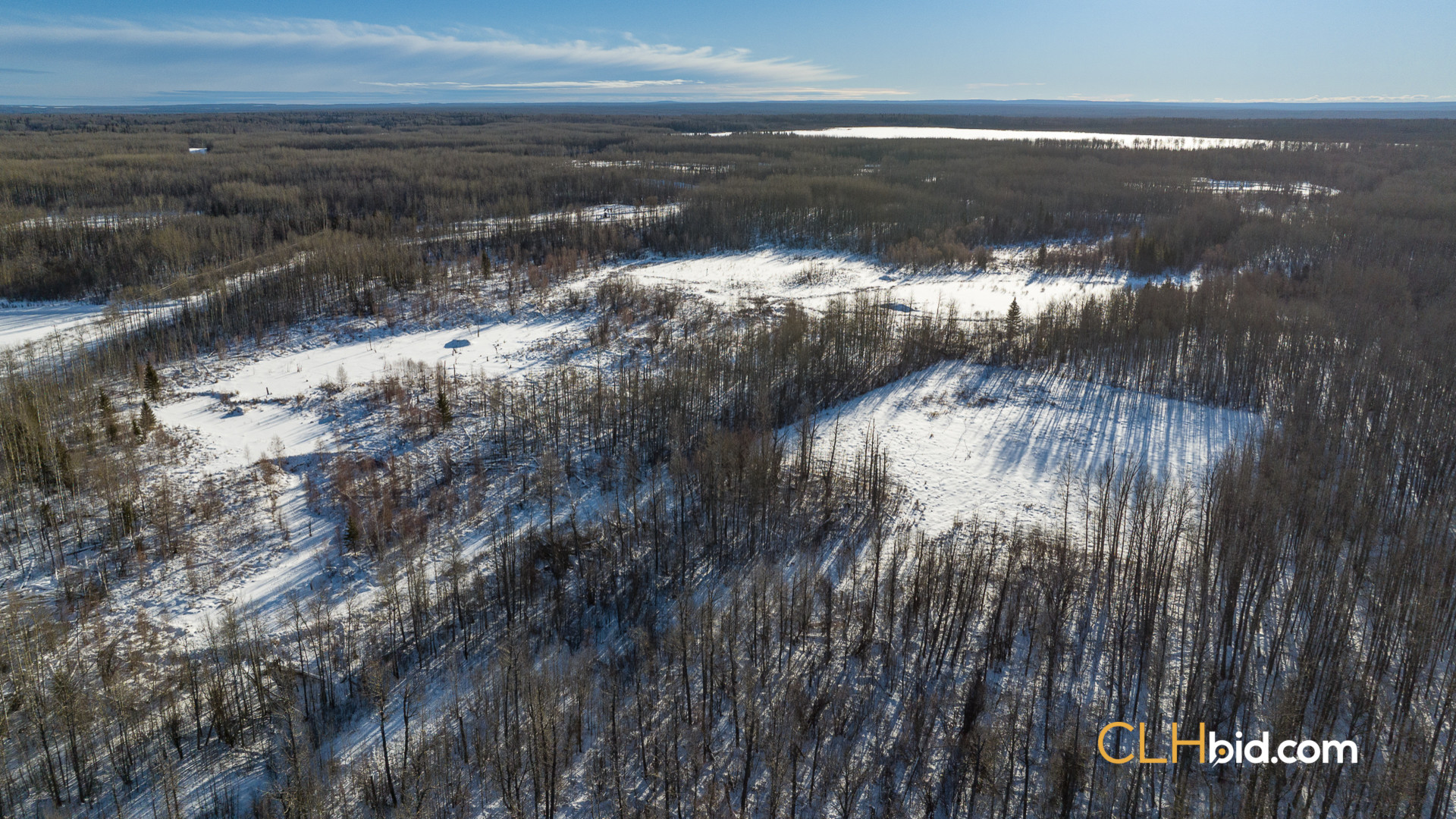 SummerCowCamp-WebWide-4