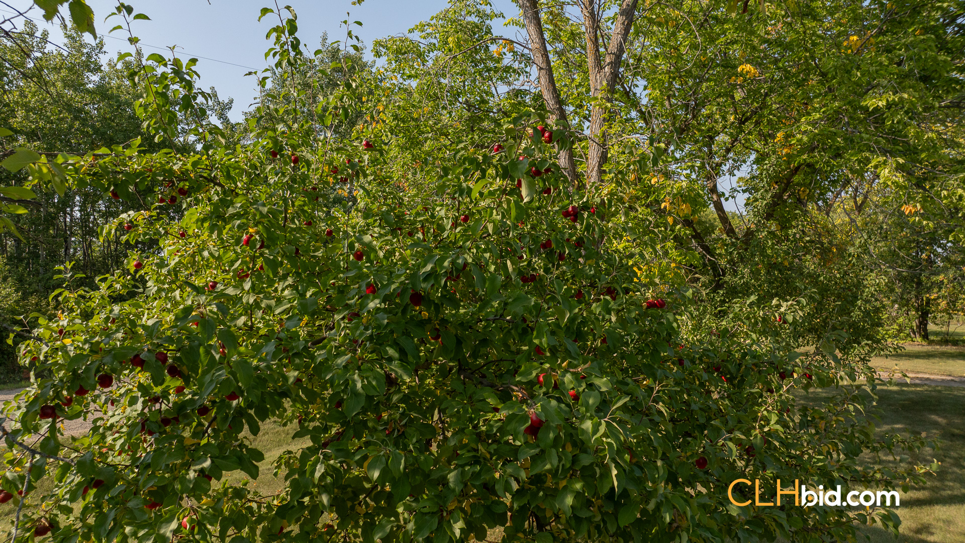 Web-SmallTownCharm-13