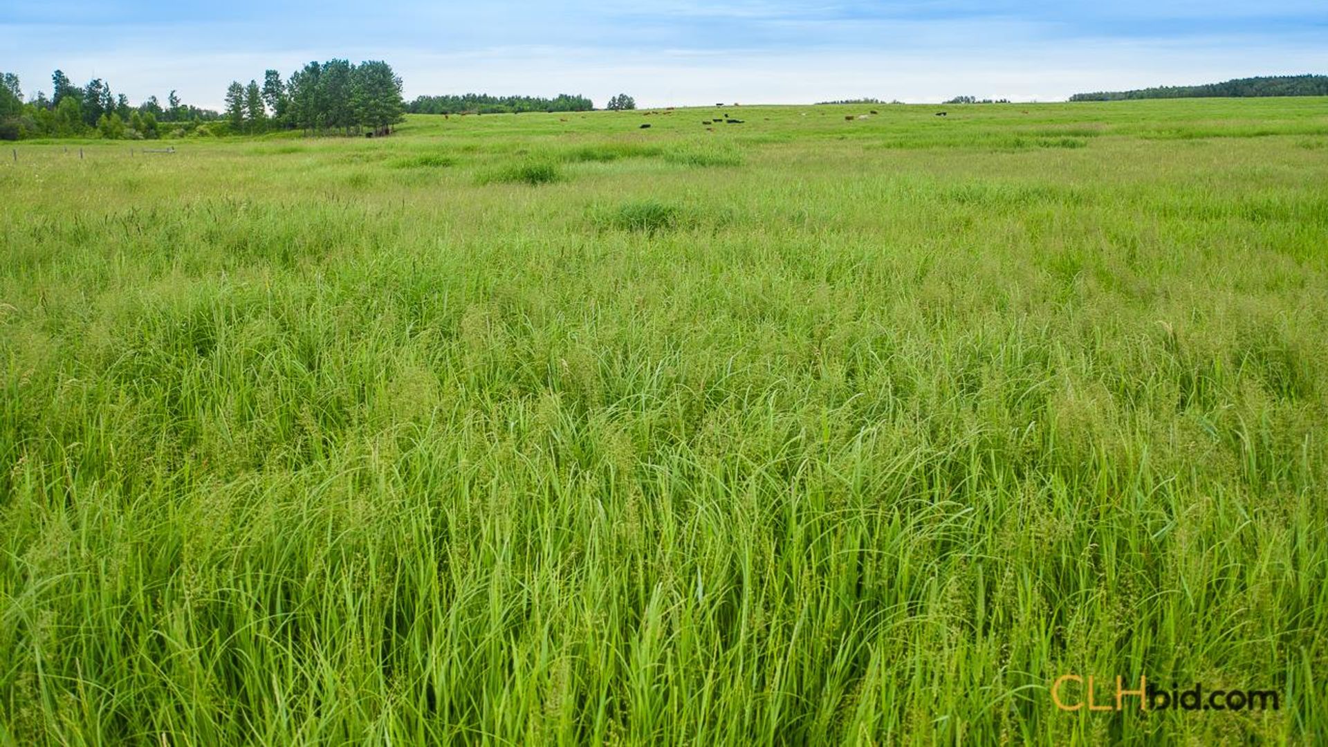 warburgdoubletree-2-5