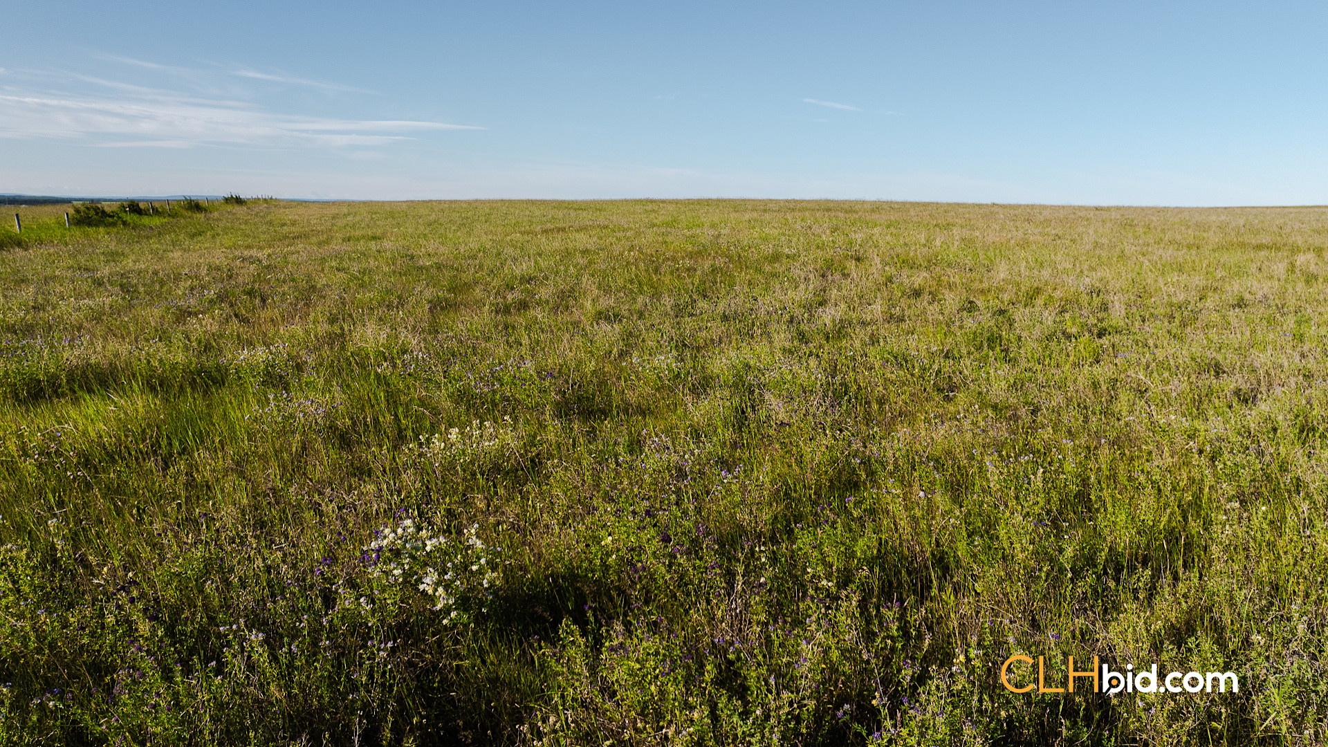 Web Rare Opportunity Dimsdale-5