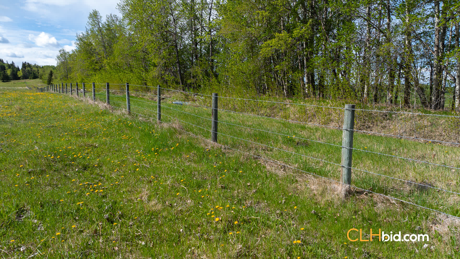 Web-ParklandNEW-1