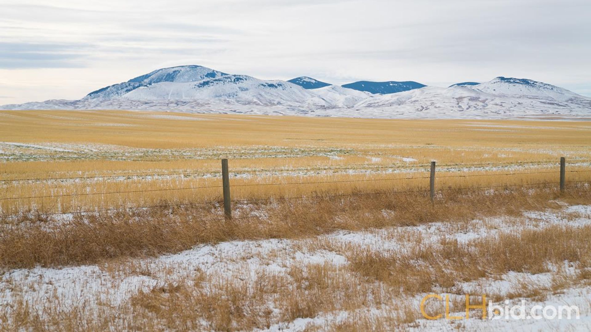 shadowsofthesweetgrasshills-2-3