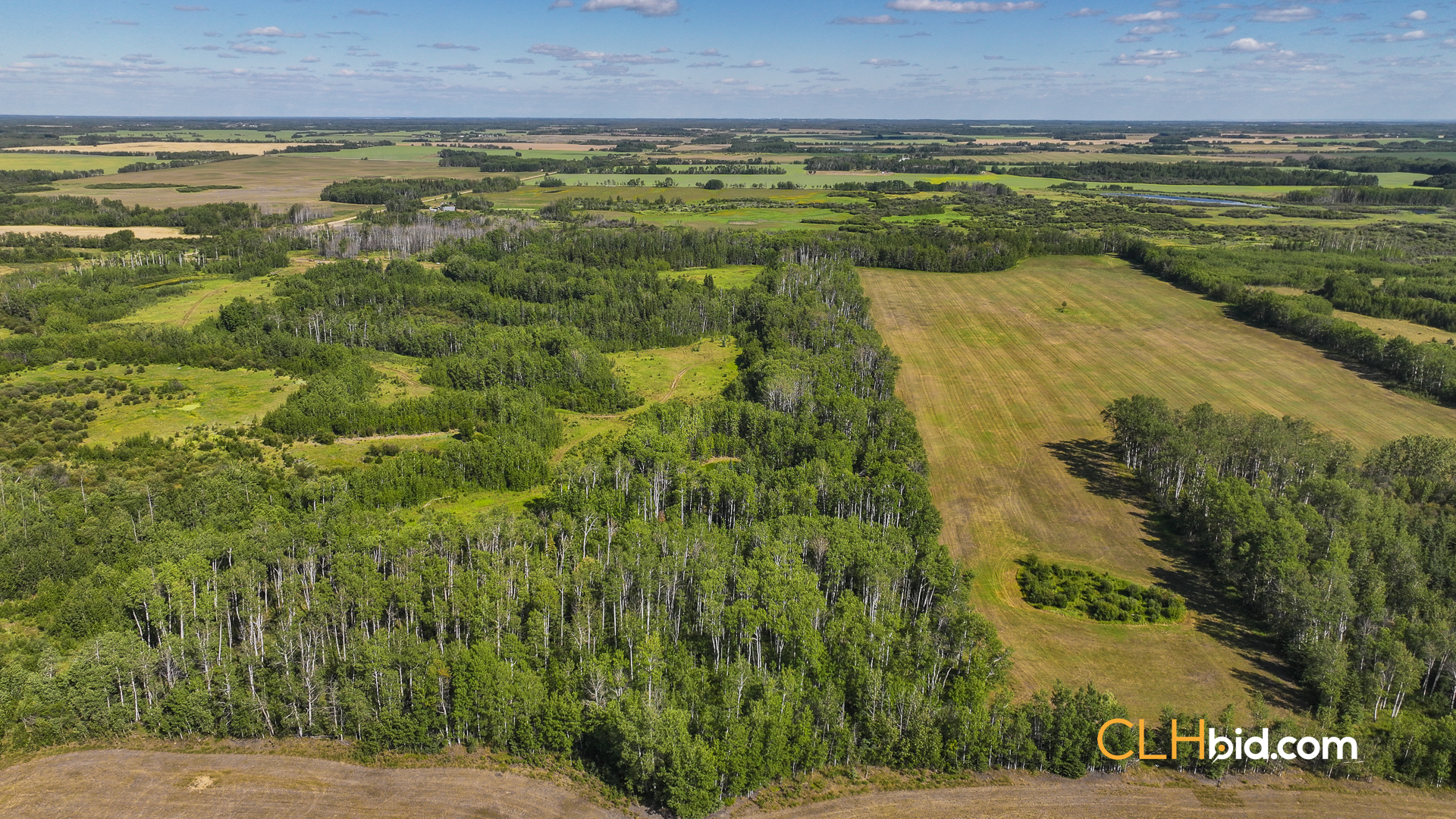 Web Talking Trees 23