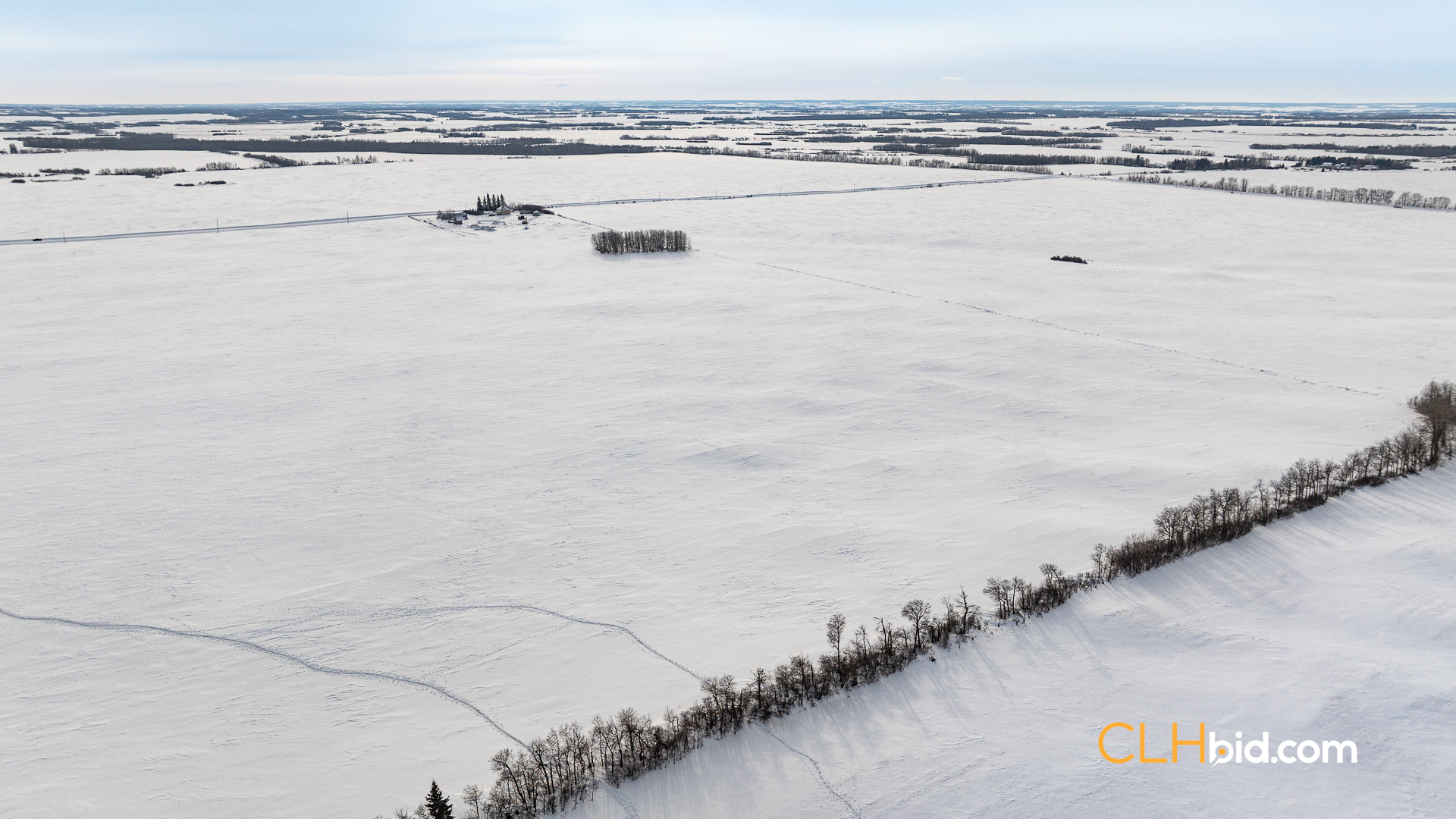 Web-LamontTopGrade-50