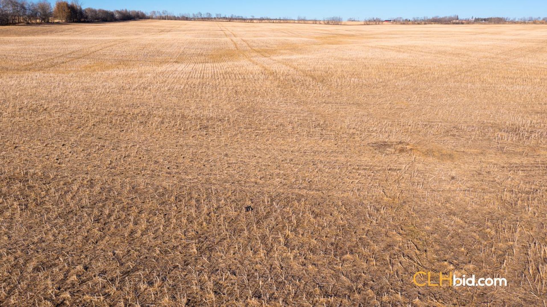 bentleycontinentalv8-1-4