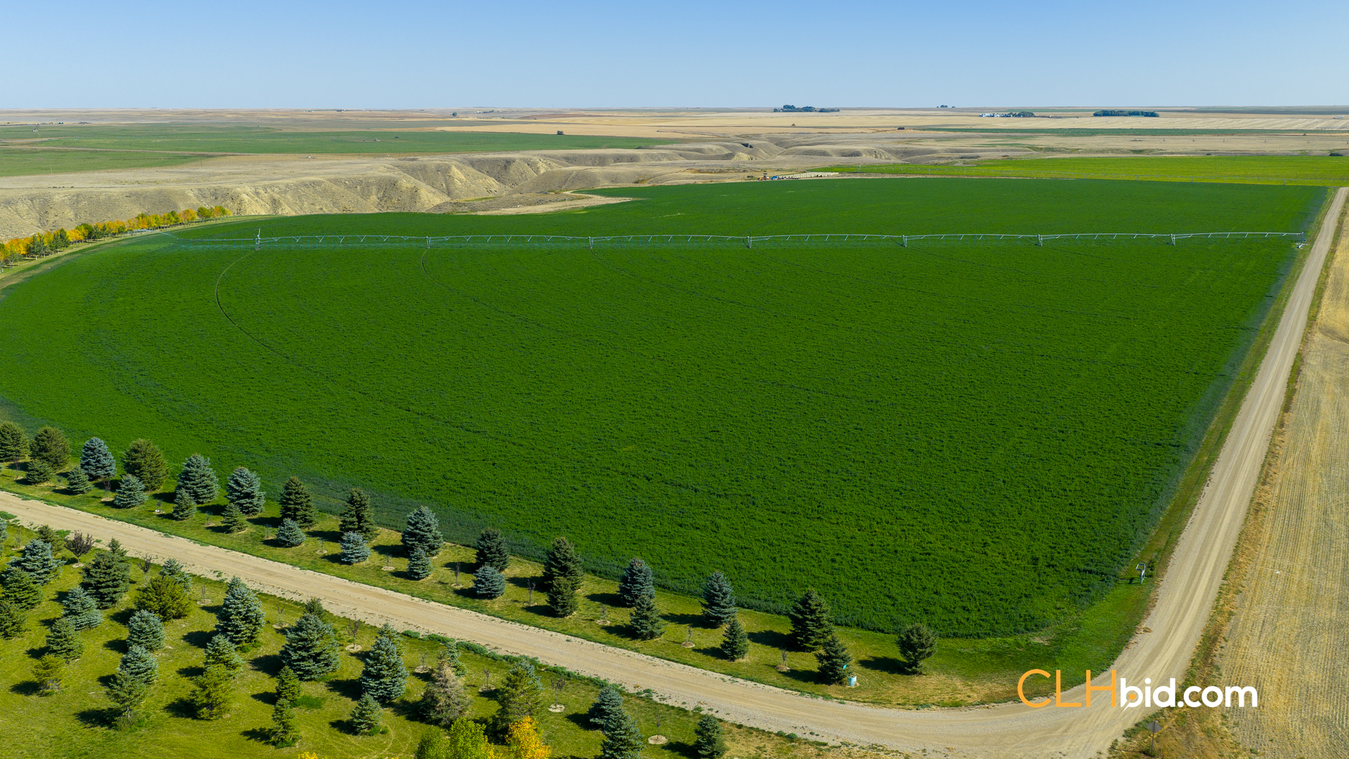 Web-MegaFortyMile-22