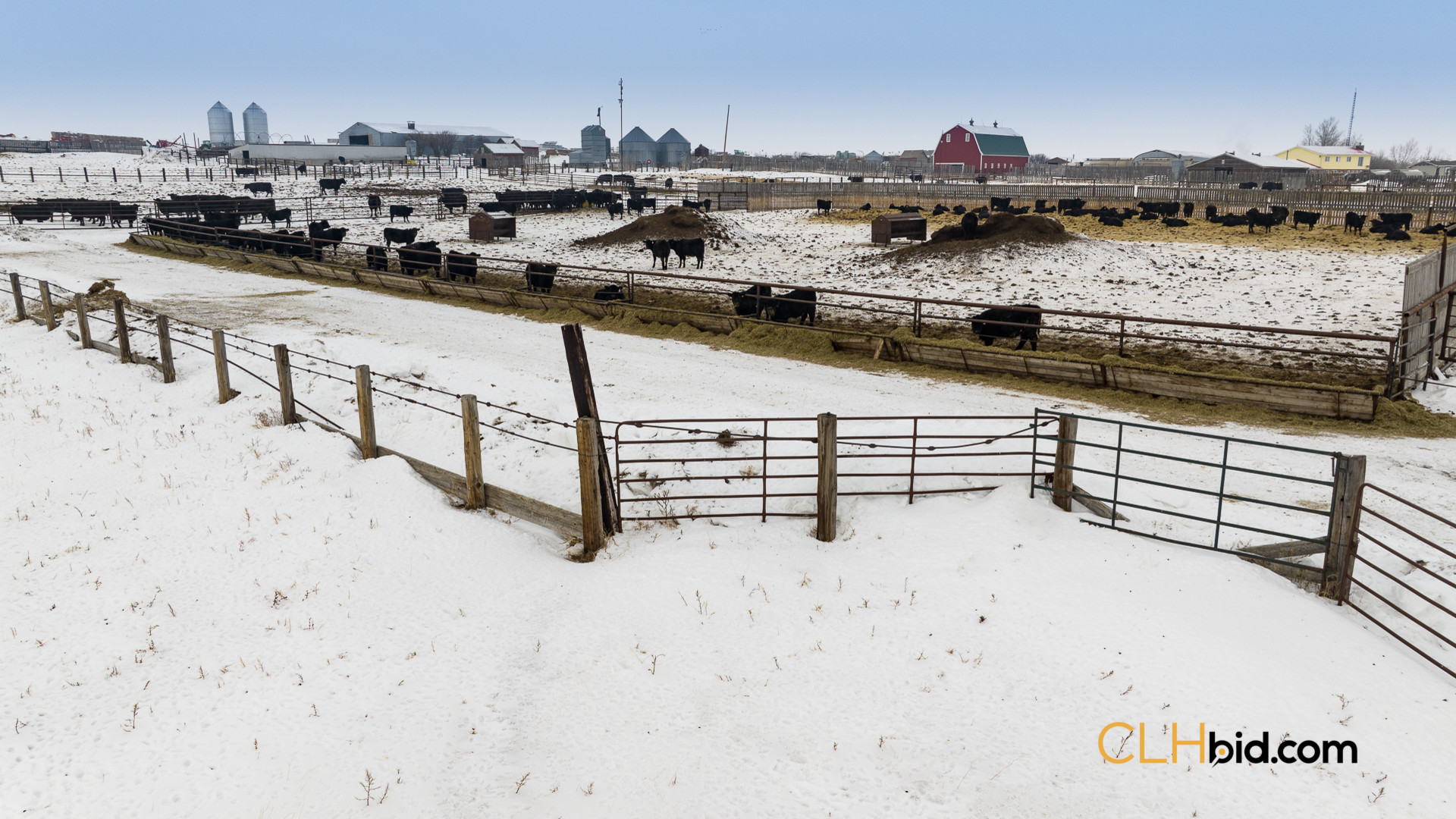 P1 Web169-AcresOfPedigree-37