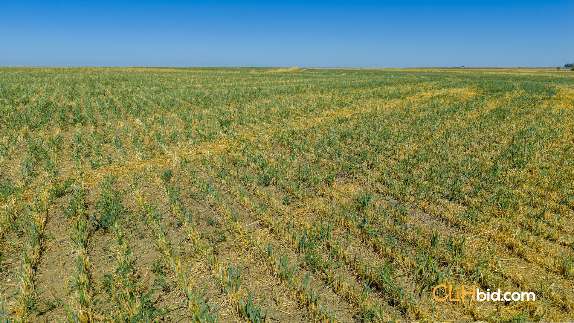 Web-MegaFortyMile-49