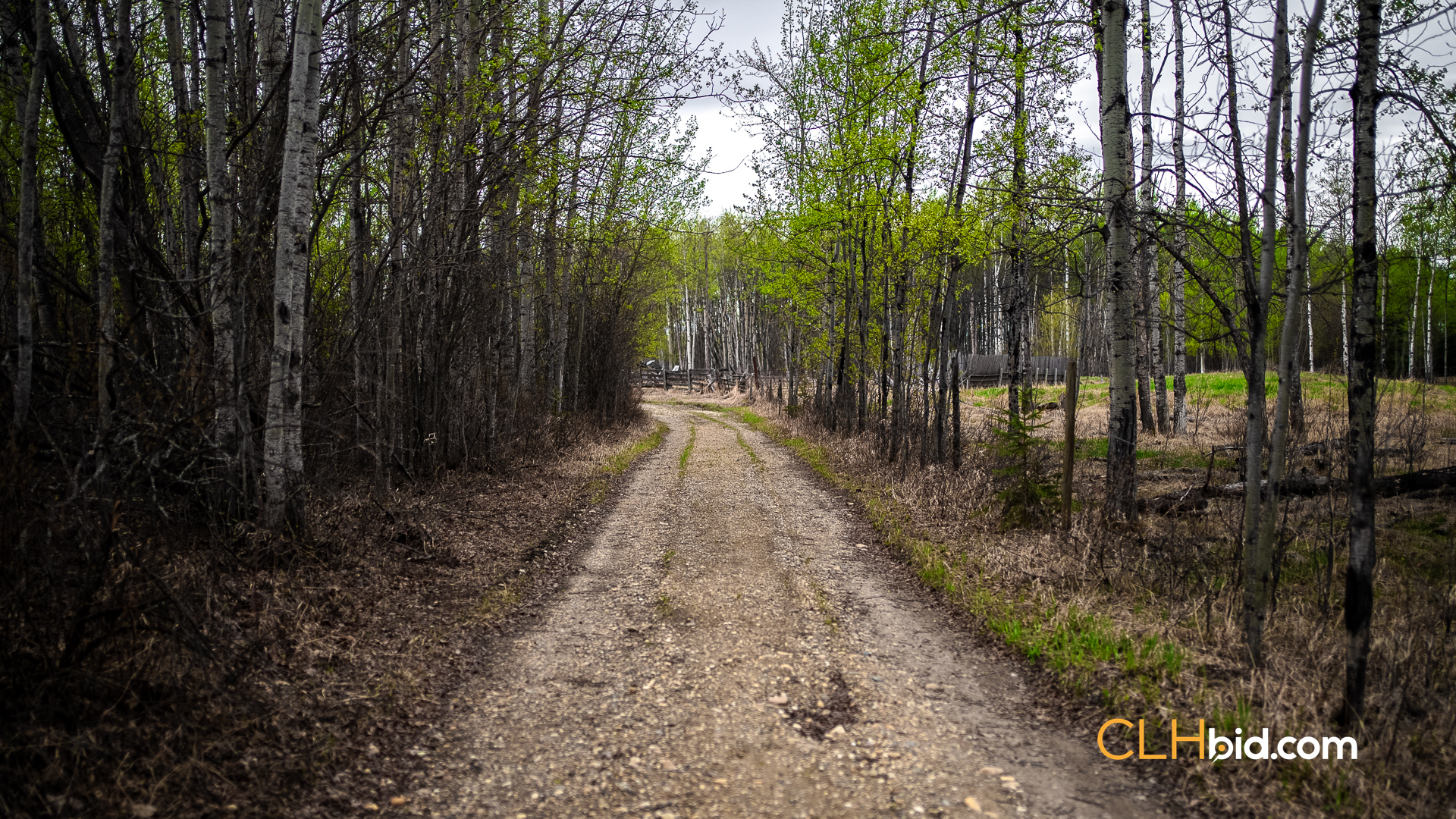 Web Deer Hill Homer Spring-28