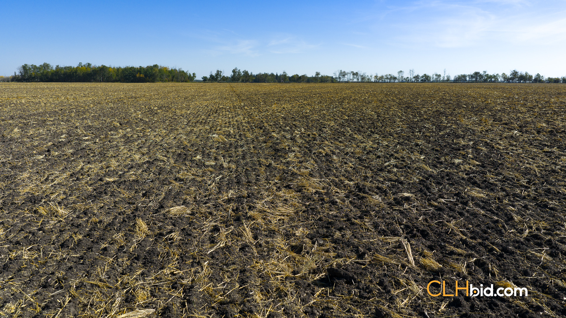 Web-WestlockUnlocked-8