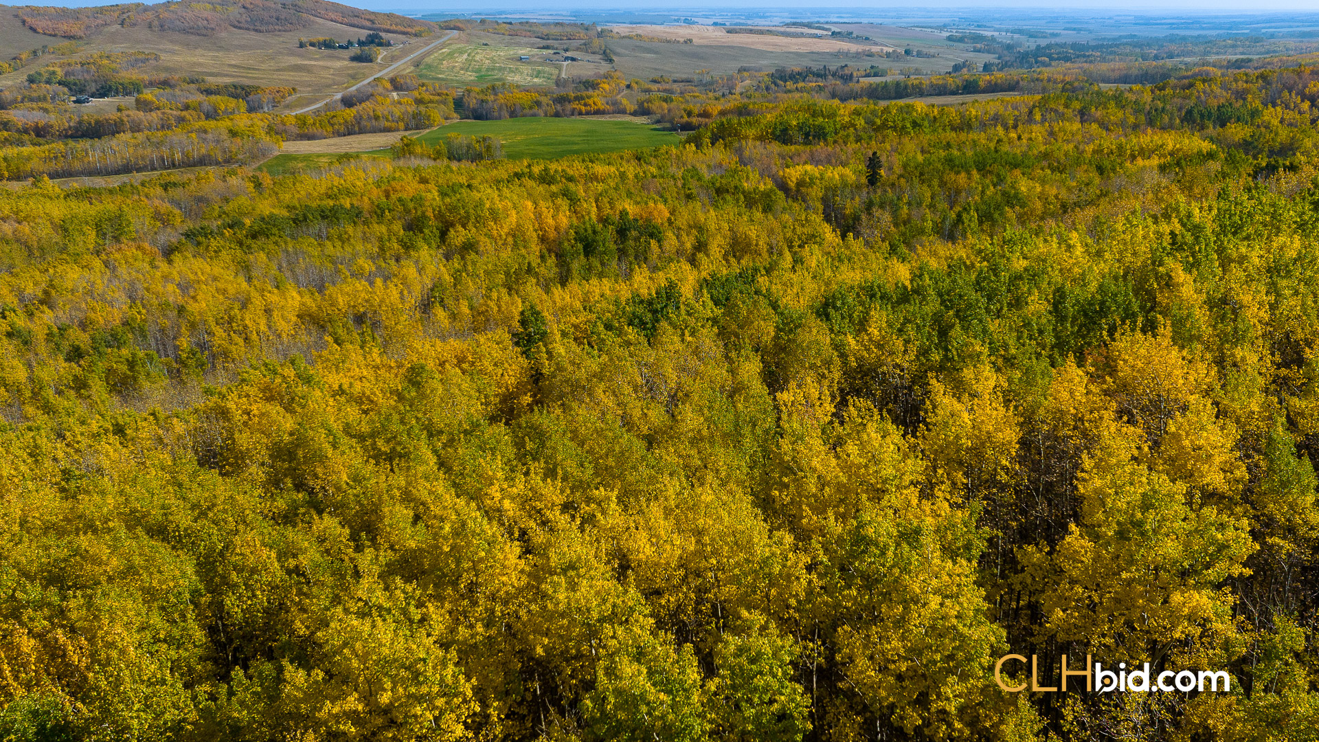 ABHeartland-WebWideNew-4