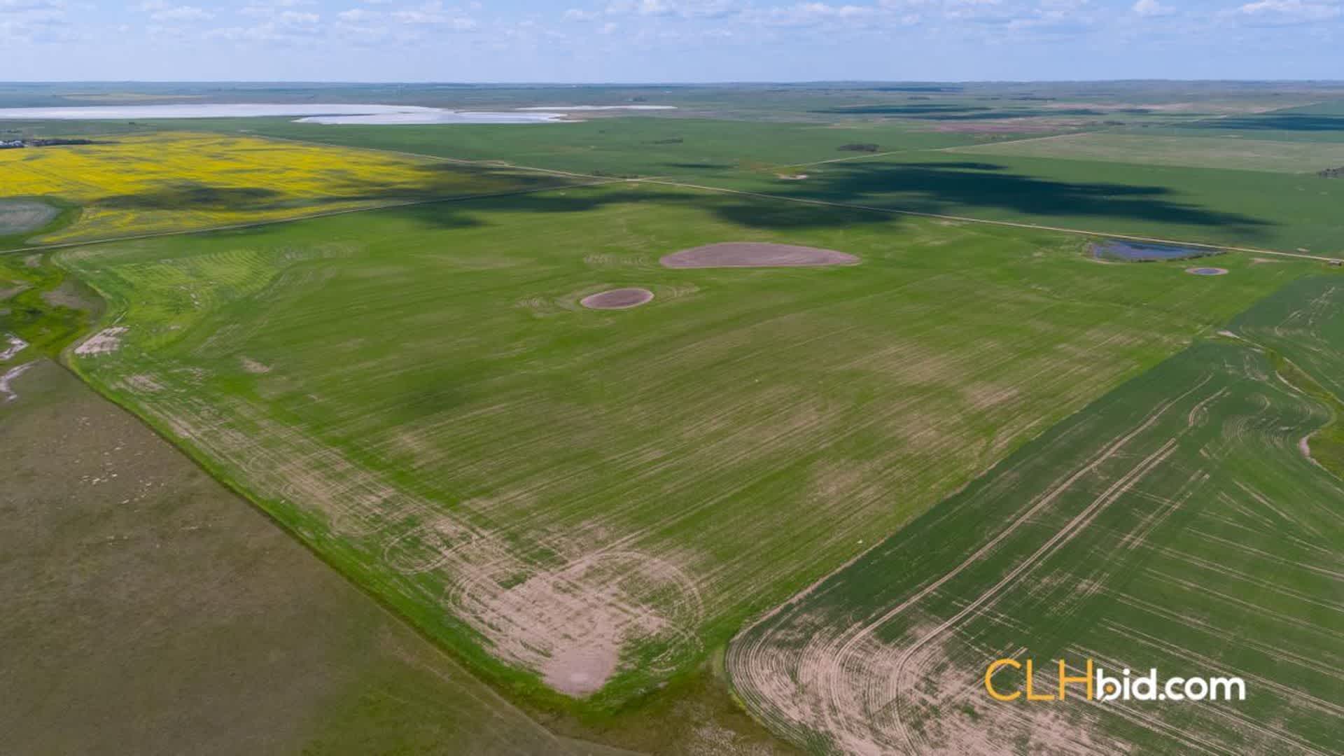 saskatchewanpatches-1-1